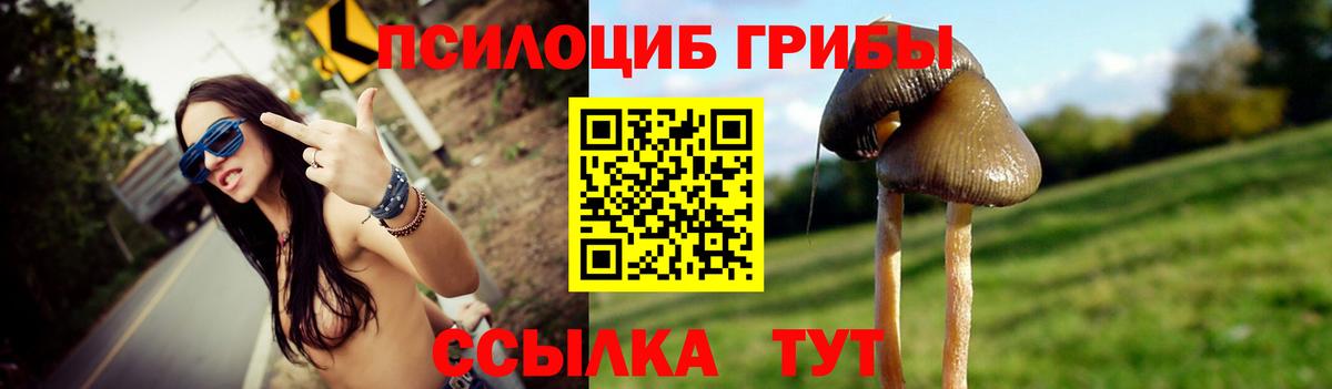 Иваново  Псилоцибиновые грибы Psilocybine cubensis  Галлюциногенные грибы Magic Shrooms  Вход с VPN 